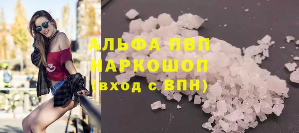 эйфоретик Покачи