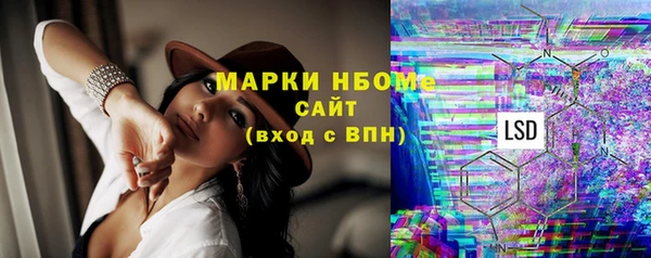 a pvp Пересвет