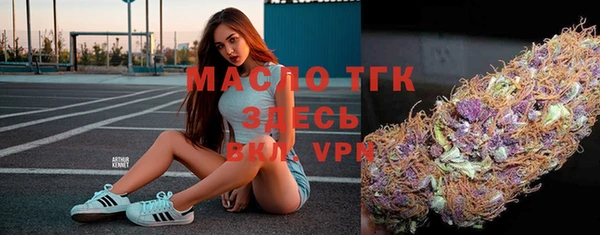 a pvp Пересвет