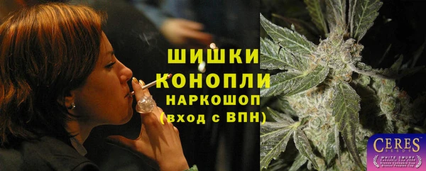 эйфоретик Покачи
